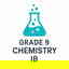 IB Grade 9 Chemistry